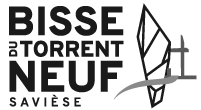 Bisse du Torrent-Neuf, Savièse